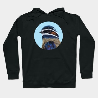 Whiskered Treeswift Hoodie